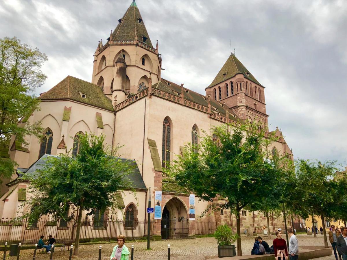 Cosy & Quiet Flat In Historical Lively Center Of Strasbourg Apartment Ngoại thất bức ảnh