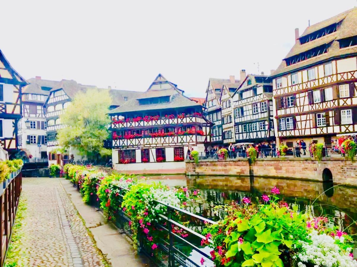Cosy & Quiet Flat In Historical Lively Center Of Strasbourg Apartment Ngoại thất bức ảnh