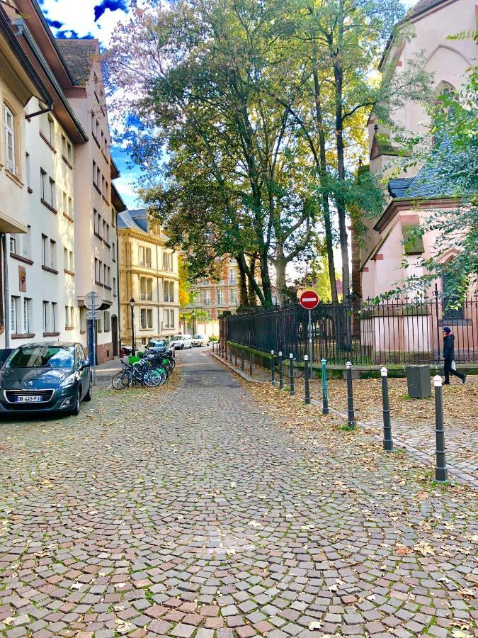 Cosy & Quiet Flat In Historical Lively Center Of Strasbourg Apartment Ngoại thất bức ảnh