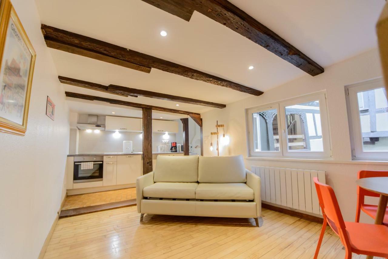 Cosy & Quiet Flat In Historical Lively Center Of Strasbourg Apartment Ngoại thất bức ảnh