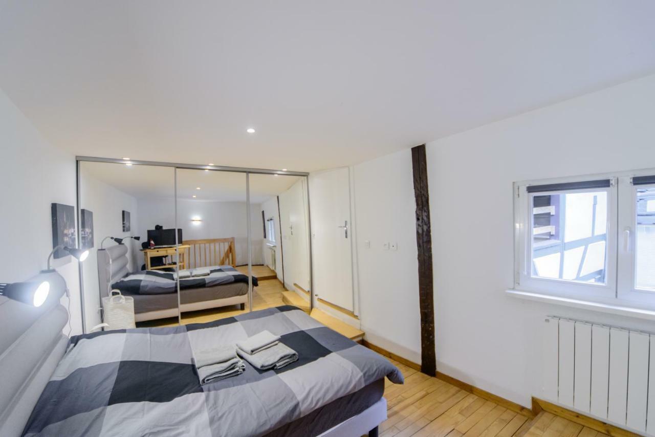 Cosy & Quiet Flat In Historical Lively Center Of Strasbourg Apartment Ngoại thất bức ảnh